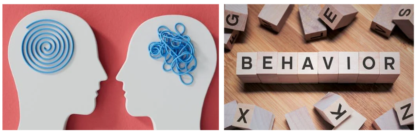 To develop and implement programs, services, and strategies related to behavioral health or substance use treatment services; to monitor funds and participate in budget development; to oversee program activities and manage unit supervisors and supervise assigned individual contributors.